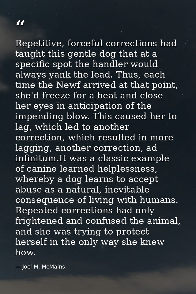 Repetitive, forceful corrections had taught this gentle dog that at a specific spot the handler would always yank the le — Joel M. McMains