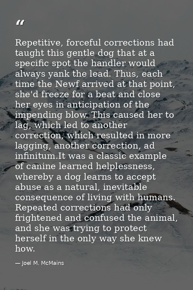 Repetitive, forceful corrections had taught this gentle dog that at a specific spot the handler would always yank the le — Joel M. McMains