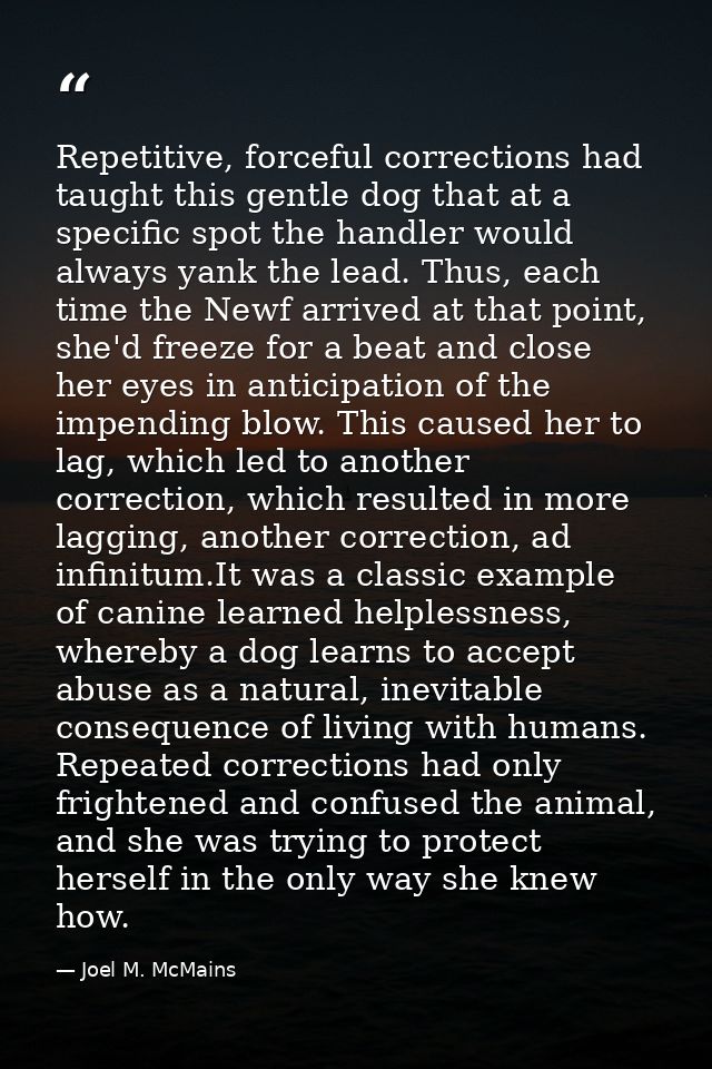 Repetitive, forceful corrections had taught this gentle dog that at a specific spot the handler would always yank the le — Joel M. McMains