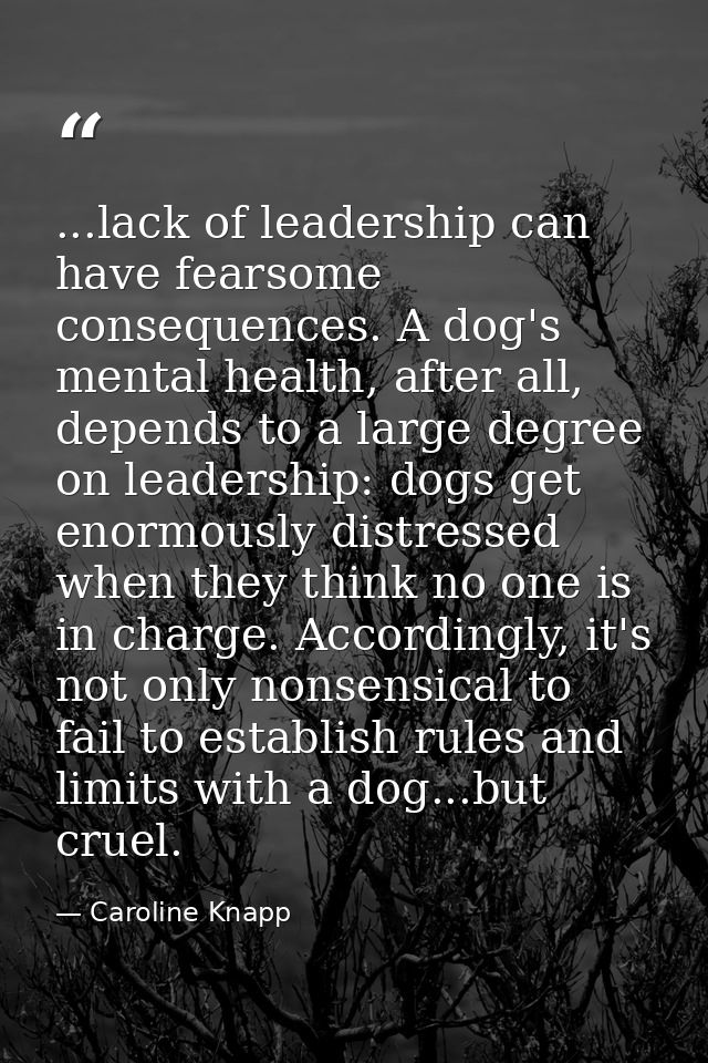 ...lack of leadership can have fearsome consequences. A dog's mental health, after all, depends to a large degree on lea — Caroline Knapp