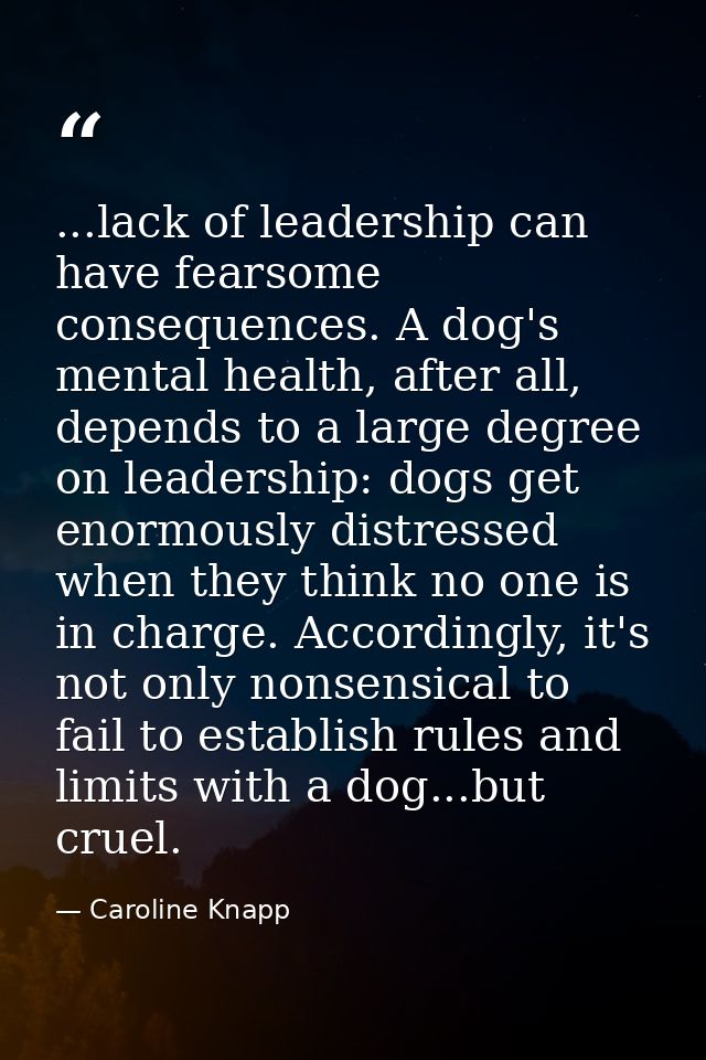 ...lack of leadership can have fearsome consequences. A dog's mental health, after all, depends to a large degree on lea — Caroline Knapp