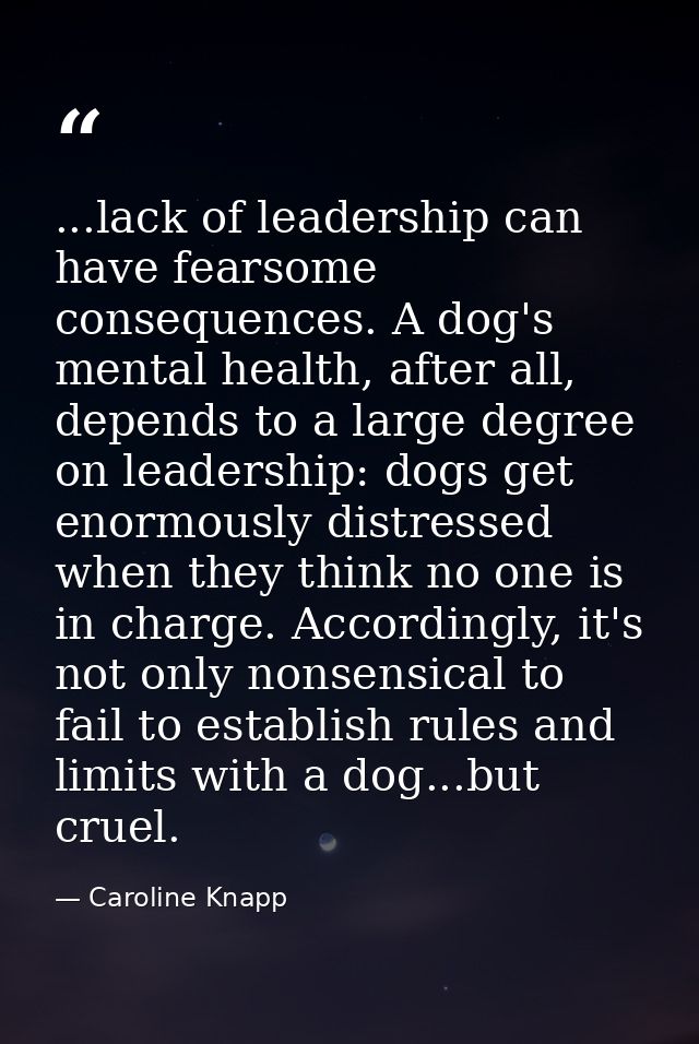 ...lack of leadership can have fearsome consequences. A dog's mental health, after all, depends to a large degree on lea — Caroline Knapp