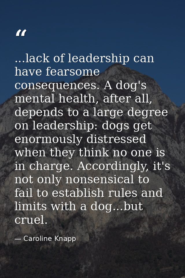 ...lack of leadership can have fearsome consequences. A dog's mental health, after all, depends to a large degree on lea — Caroline Knapp