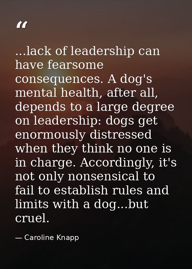 ...lack of leadership can have fearsome consequences. A dog's mental health, after all, depends to a large degree on lea — Caroline Knapp