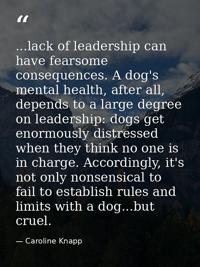 ...lack of leadership can have fearsome consequences. A dog's mental health, after all, depends to a large degree on lea — Caroline Knapp