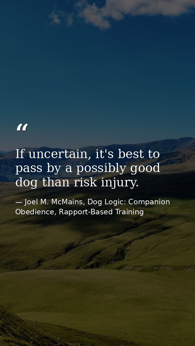 If uncertain, it's best to pass by a possibly good dog than risk injury. — Joel M. McMains, Dog Logic: Companion Obedience, Rapport-Based Training