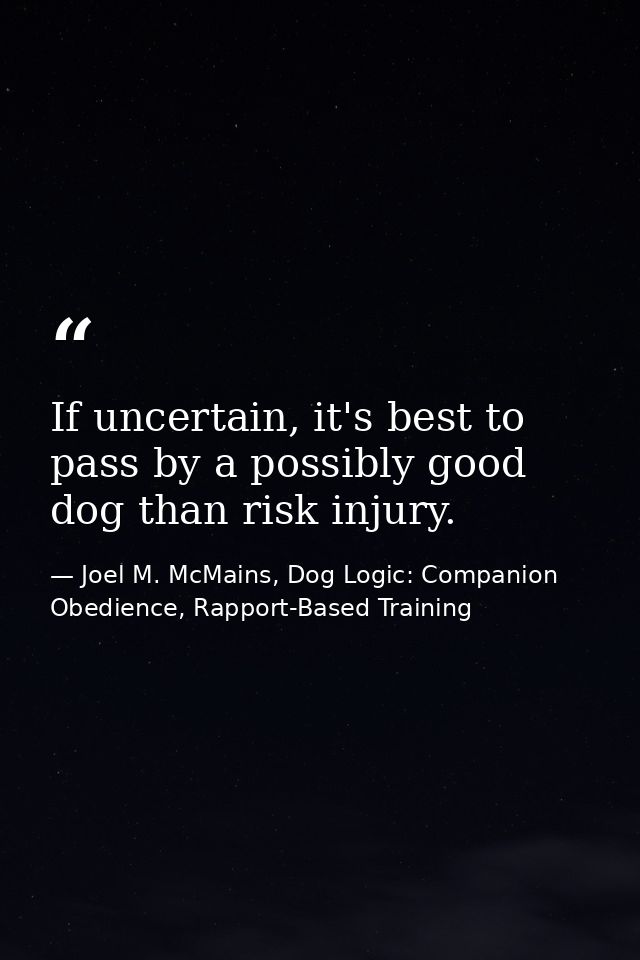 If uncertain, it's best to pass by a possibly good dog than risk injury. — Joel M. McMains, Dog Logic: Companion Obedience, Rapport-Based Training