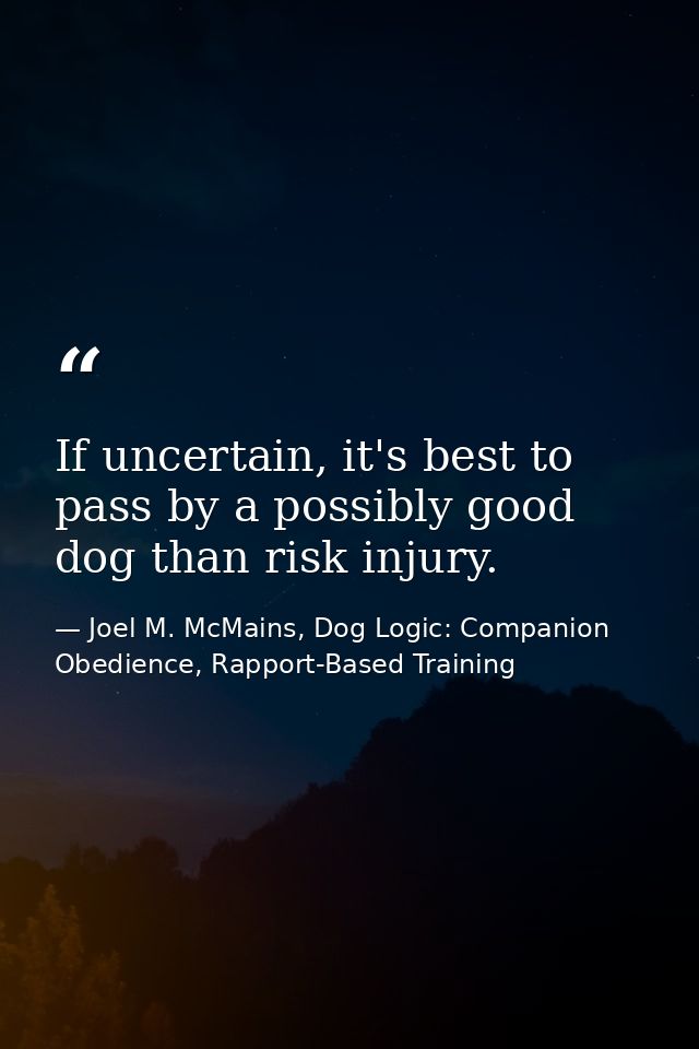 If uncertain, it's best to pass by a possibly good dog than risk injury. — Joel M. McMains, Dog Logic: Companion Obedience, Rapport-Based Training