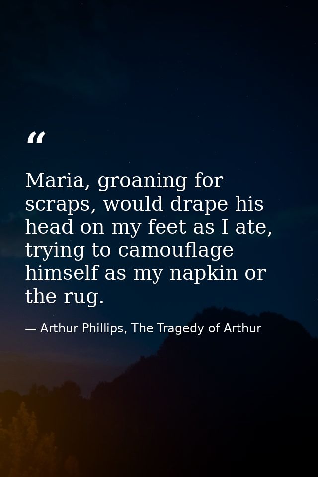 Maria, groaning for scraps, would drape his head on my feet as I ate, trying to camouflage himself as my napkin or the r — Arthur Phillips, The Tragedy of Arthur