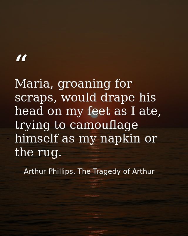 Maria, groaning for scraps, would drape his head on my feet as I ate, trying to camouflage himself as my napkin or the r — Arthur Phillips, The Tragedy of Arthur