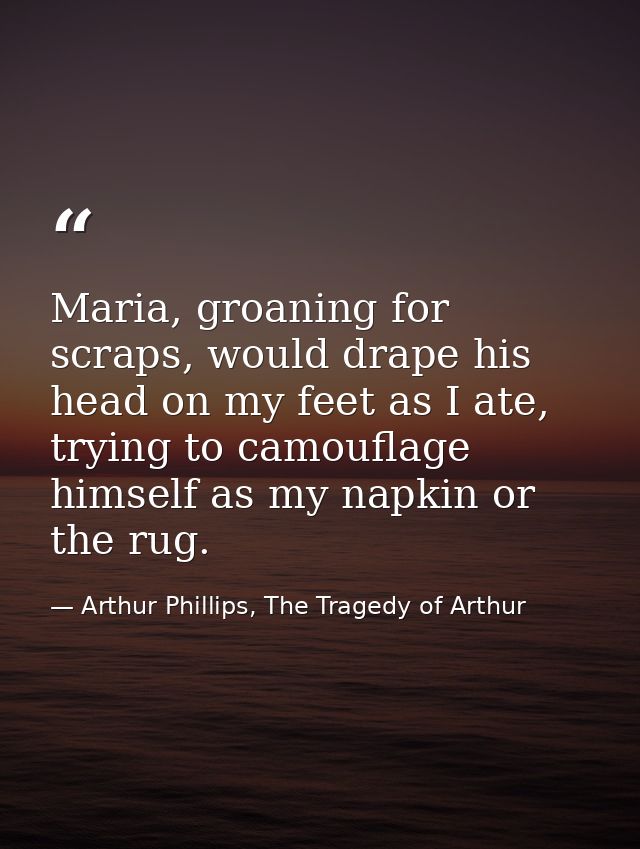 Maria, groaning for scraps, would drape his head on my feet as I ate, trying to camouflage himself as my napkin or the r — Arthur Phillips, The Tragedy of Arthur