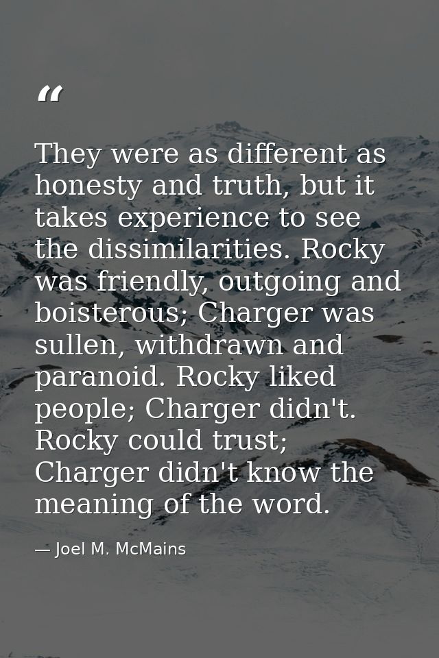 They were as different as honesty and truth, but it takes experience to see the dissimilarities. Rocky was friendly, out — Joel M. McMains
