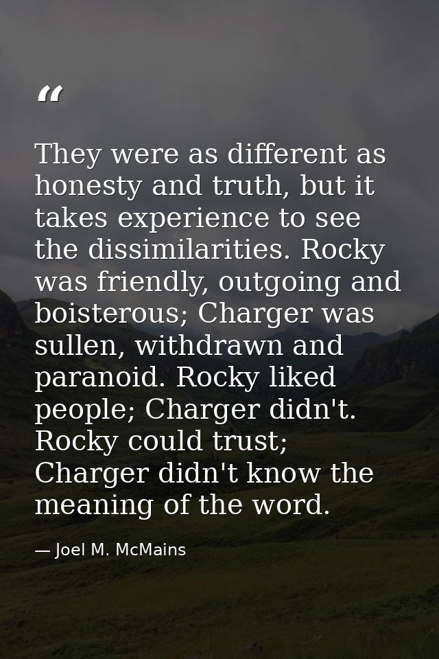 They were as different as honesty and truth, but it takes experience to see the dissimilarities. Rocky was friendly, out — Joel M. McMains