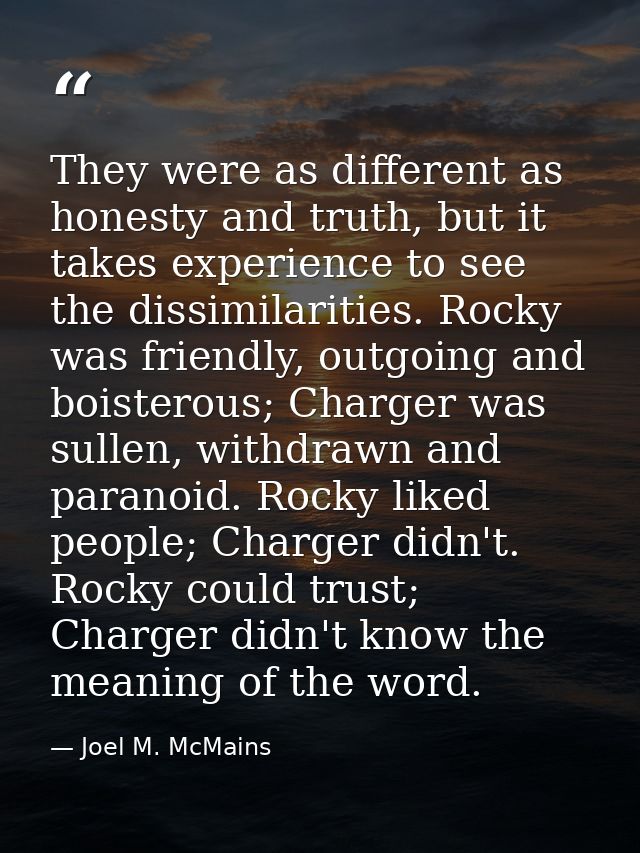 They were as different as honesty and truth, but it takes experience to see the dissimilarities. Rocky was friendly, out — Joel M. McMains
