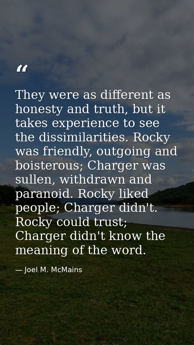 They were as different as honesty and truth, but it takes experience to see the dissimilarities. Rocky was friendly, out — Joel M. McMains