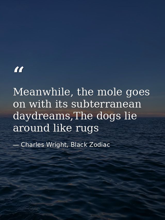 Meanwhile, the mole goes on with its subterranean daydreams,The dogs lie around like rugs — Charles Wright, Black Zodiac