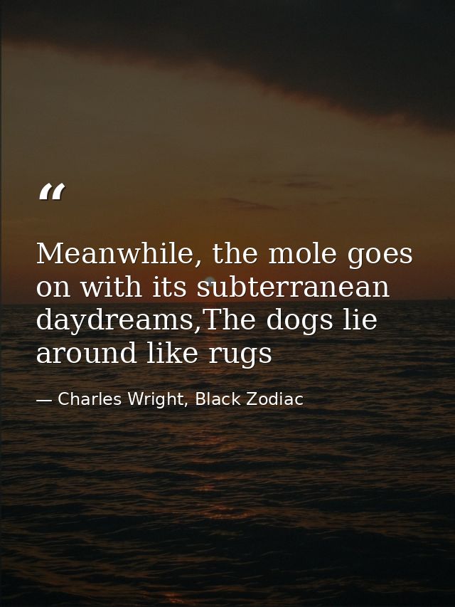 Meanwhile, the mole goes on with its subterranean daydreams,The dogs lie around like rugs — Charles Wright, Black Zodiac