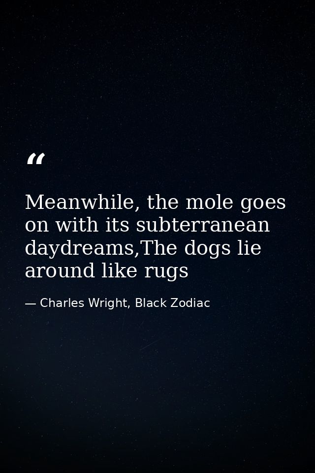 Meanwhile, the mole goes on with its subterranean daydreams,The dogs lie around like rugs — Charles Wright, Black Zodiac