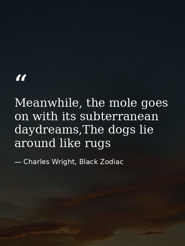 Meanwhile, the mole goes on with its subterranean daydreams,The dogs lie around like rugs — Charles Wright, Black Zodiac