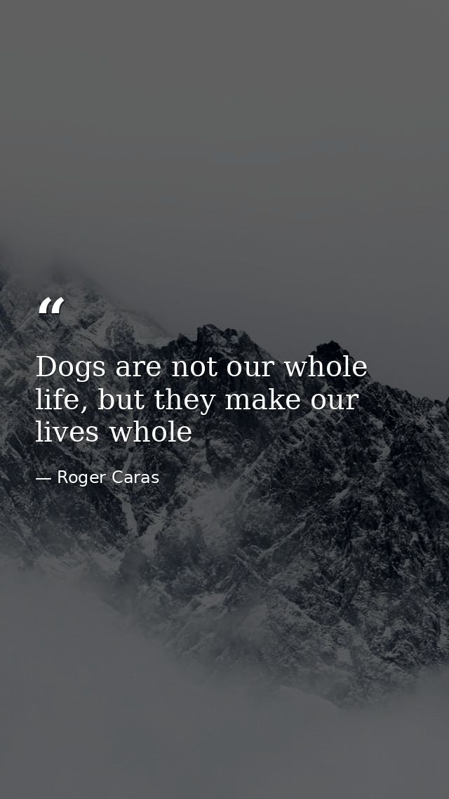 Dogs are not our whole life, but they make our lives whole — Roger Caras