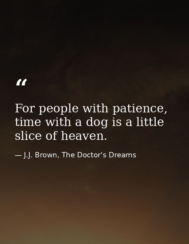 For people with patience, time with a dog is a little slice of heaven. — J.J. Brown, The Doctor's Dreams