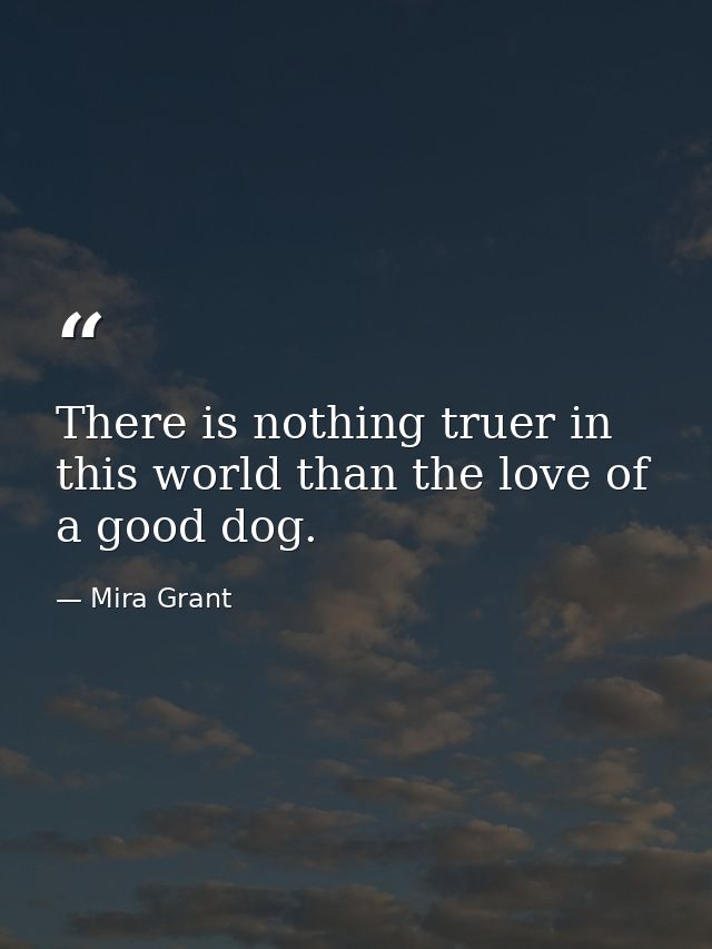 There is nothing truer in this world than the love of a good dog. — Mira Grant
