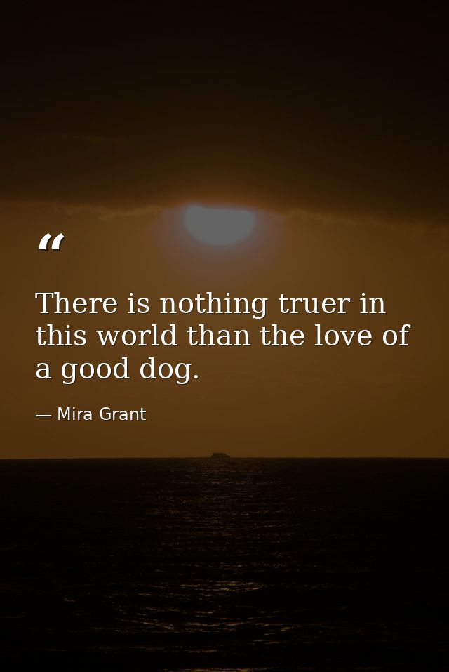 There is nothing truer in this world than the love of a good dog. — Mira Grant