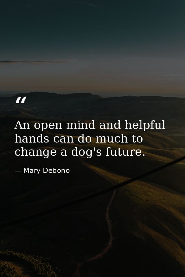 An open mind and helpful hands can do much to change a dog's future. — Mary Debono