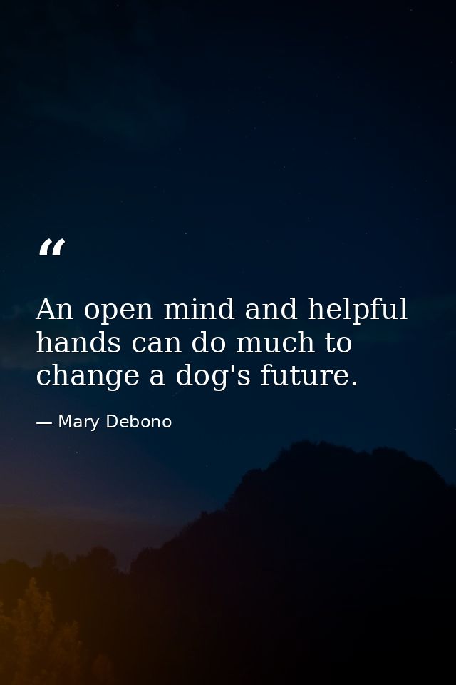 An open mind and helpful hands can do much to change a dog's future. — Mary Debono