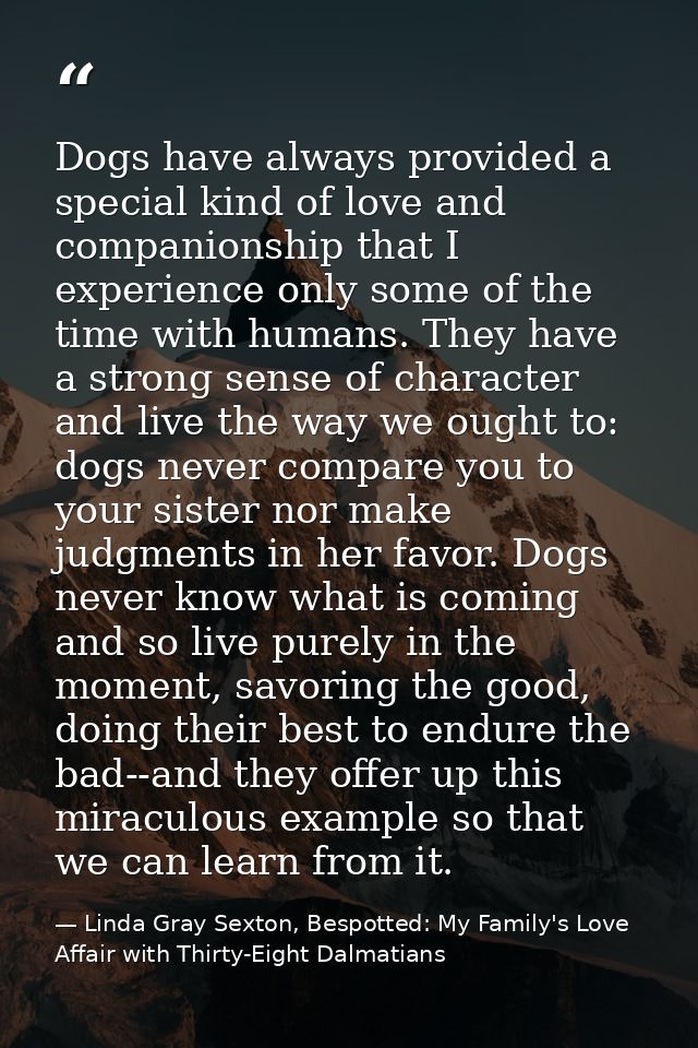 Dogs have always provided a special kind of love and companionship that I experience only some of the time with humans.  — Linda Gray Sexton, Bespotted: My Family's Love Affair with Thirty-Eight Dalmatians