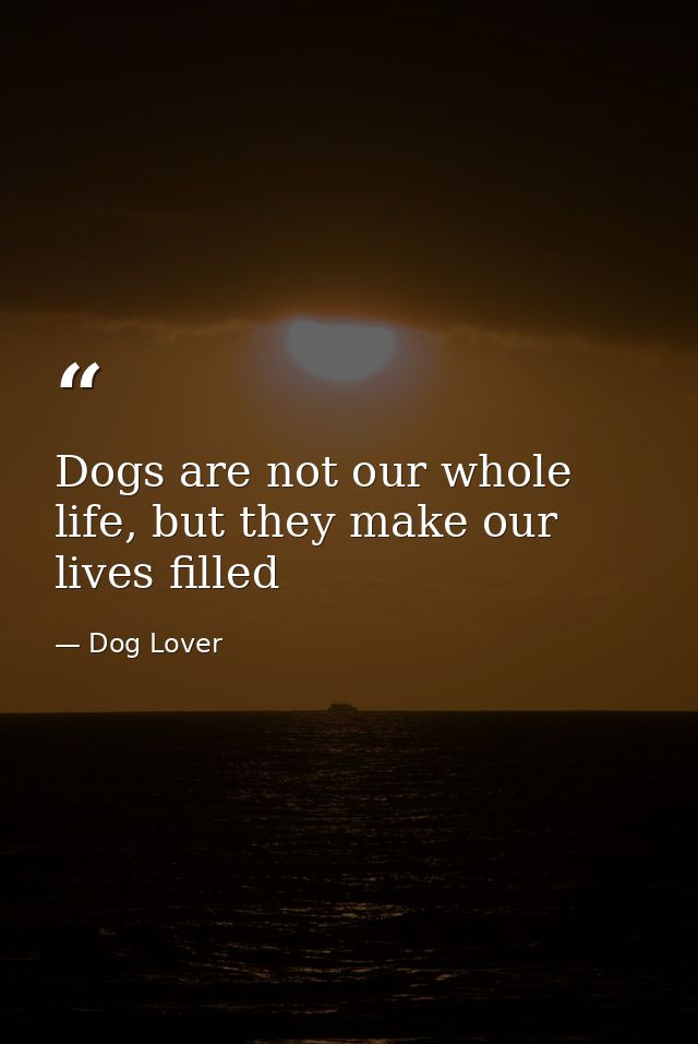 Dogs are not our whole life, but they make our lives filled — Dog Lover