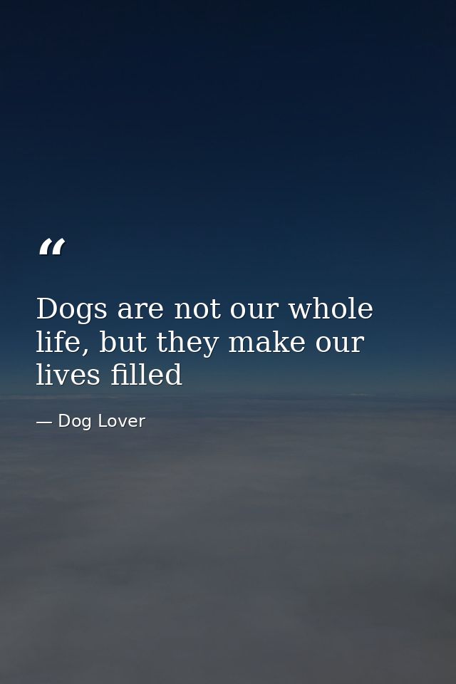 Dogs are not our whole life, but they make our lives filled — Dog Lover
