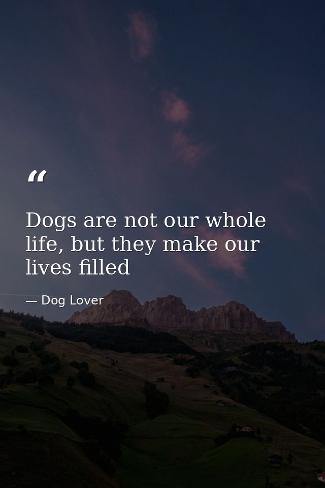 Dogs are not our whole life, but they make our lives filled — Dog Lover