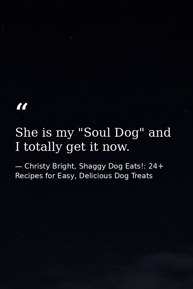 She is my "Soul Dog" and I totally get it now. — Christy Bright, Shaggy Dog Eats!: 24+ Recipes for Easy, Delicious Dog Treats