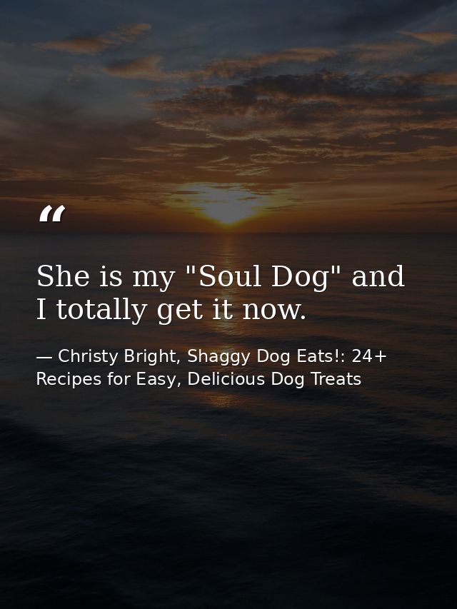 She is my "Soul Dog" and I totally get it now. — Christy Bright, Shaggy Dog Eats!: 24+ Recipes for Easy, Delicious Dog Treats