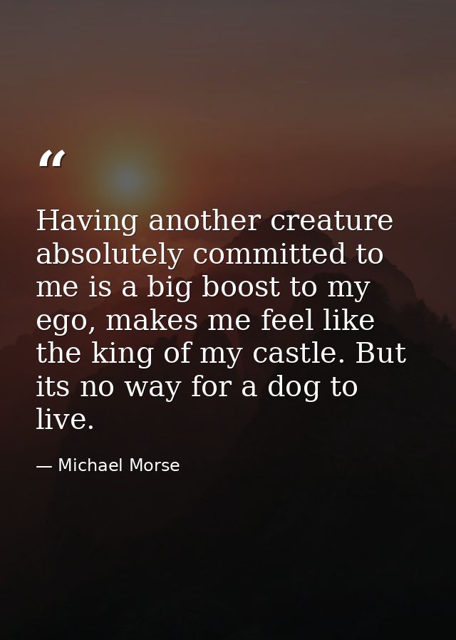 Having another creature absolutely committed to me is a big boost to my ego, makes me feel like the king of my castle. B — Michael Morse