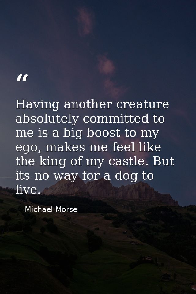 Having another creature absolutely committed to me is a big boost to my ego, makes me feel like the king of my castle. B — Michael Morse