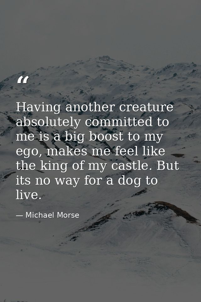 Having another creature absolutely committed to me is a big boost to my ego, makes me feel like the king of my castle. B — Michael Morse