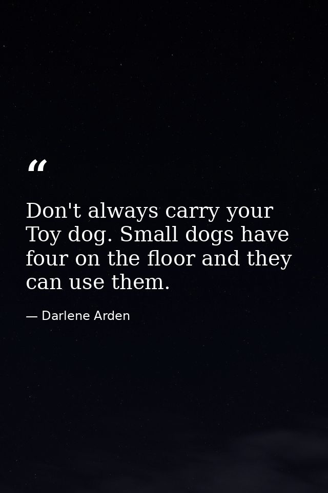 Don't always carry your Toy dog. Small dogs have four on the floor and they can use them. — Darlene Arden
