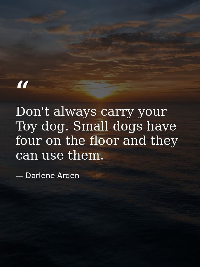 Don't always carry your Toy dog. Small dogs have four on the floor and they can use them. — Darlene Arden