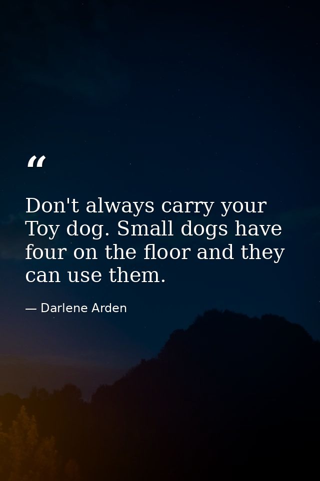 Don't always carry your Toy dog. Small dogs have four on the floor and they can use them. — Darlene Arden