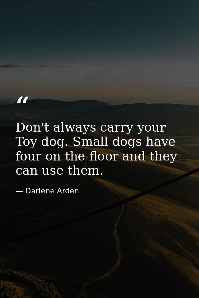 Don't always carry your Toy dog. Small dogs have four on the floor and they can use them. — Darlene Arden