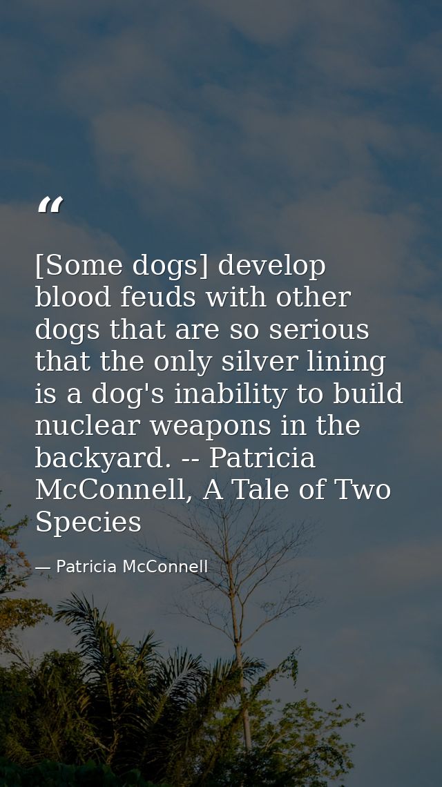 [Some dogs] develop blood feuds with other dogs that are so serious that the only silver lining is a dog's inability to  — Patricia McConnell