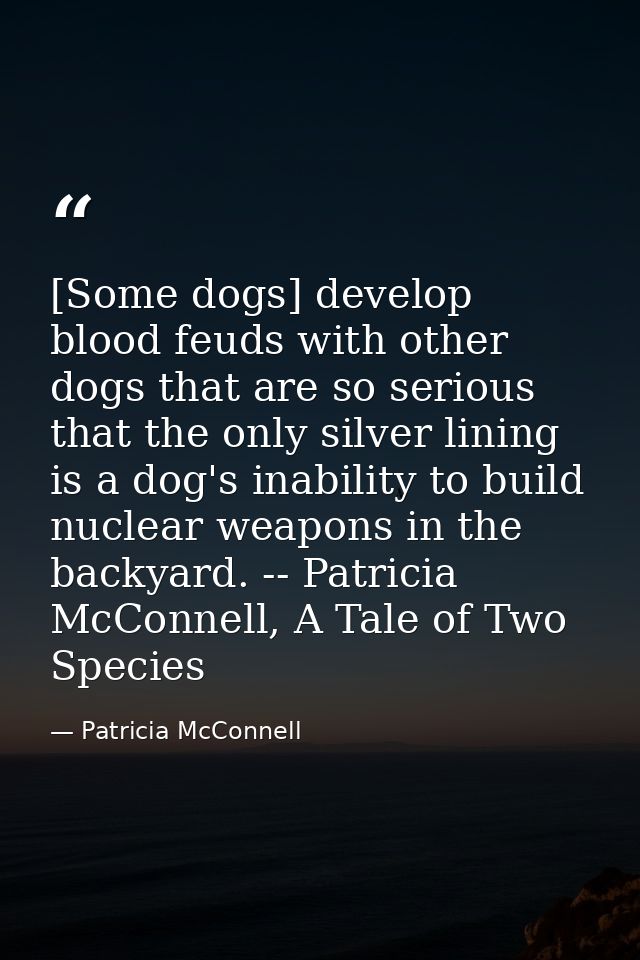 [Some dogs] develop blood feuds with other dogs that are so serious that the only silver lining is a dog's inability to  — Patricia McConnell
