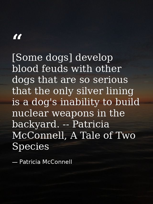 [Some dogs] develop blood feuds with other dogs that are so serious that the only silver lining is a dog's inability to  — Patricia McConnell