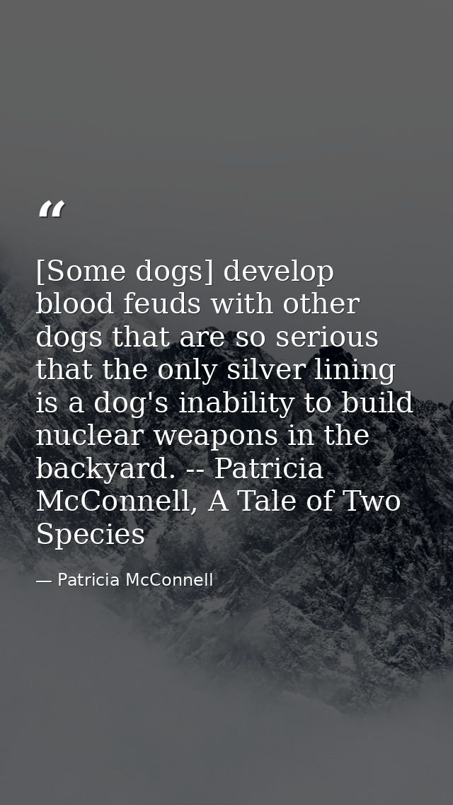 [Some dogs] develop blood feuds with other dogs that are so serious that the only silver lining is a dog's inability to  — Patricia McConnell