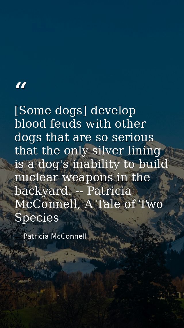[Some dogs] develop blood feuds with other dogs that are so serious that the only silver lining is a dog's inability to  — Patricia McConnell