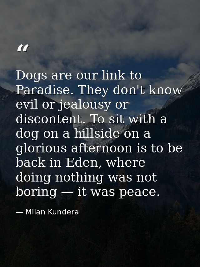 Dogs are our link to Paradise. They don't know evil or jealousy or discontent. To sit with a dog on a hillside on a glor — Milan Kundera