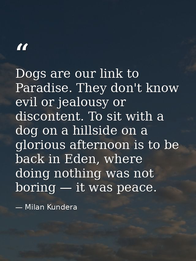 Dogs are our link to Paradise. They don't know evil or jealousy or discontent. To sit with a dog on a hillside on a glor — Milan Kundera
