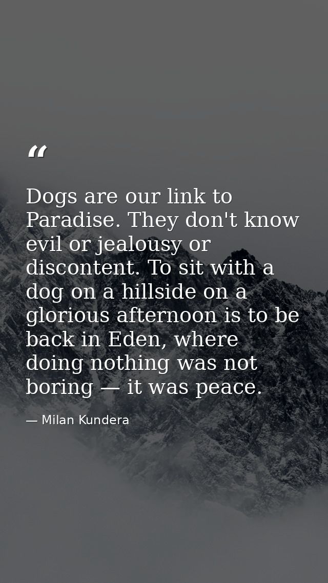 Dogs are our link to Paradise. They don't know evil or jealousy or discontent. To sit with a dog on a hillside on a glor — Milan Kundera